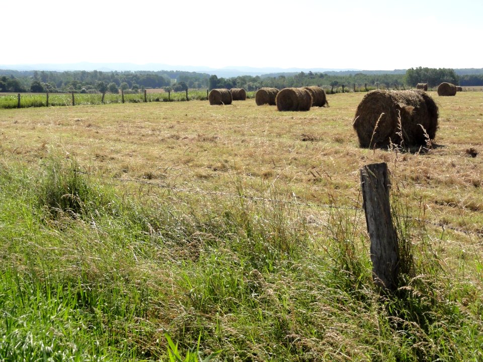 Brouville (M-et-M) paysage B