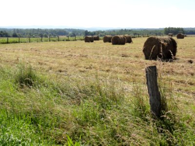 Brouville (M-et-M) paysage B