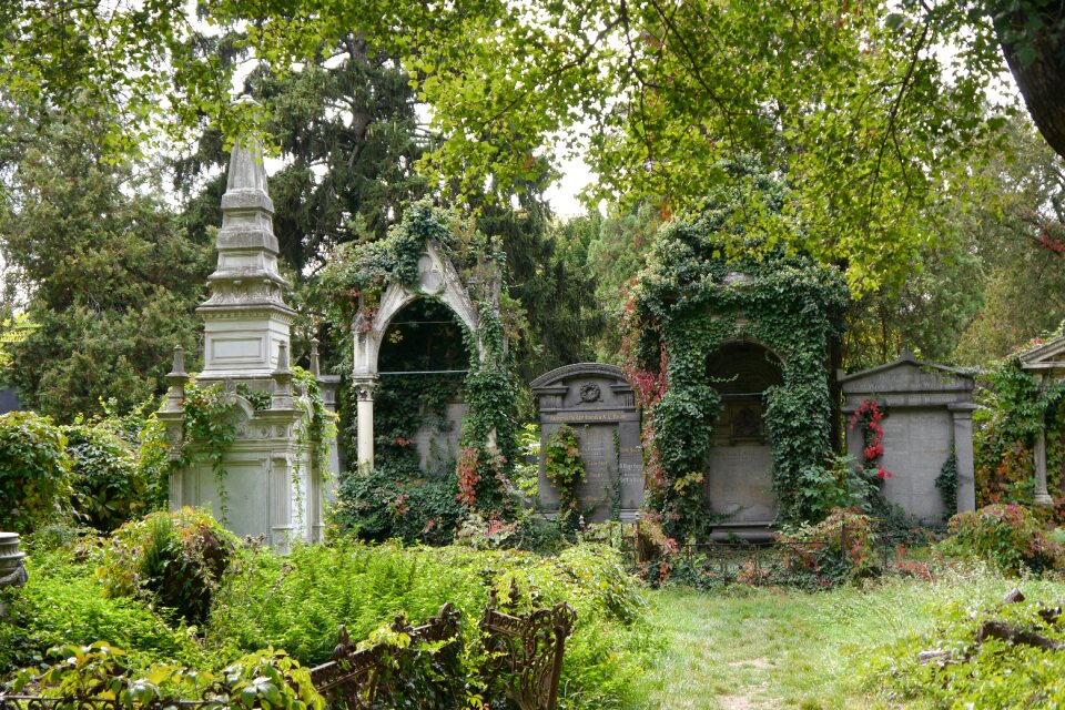 Old jewish cemetery vienna graves