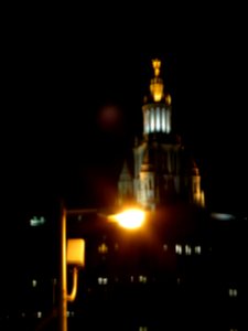 Brooklyn-Bridge-20