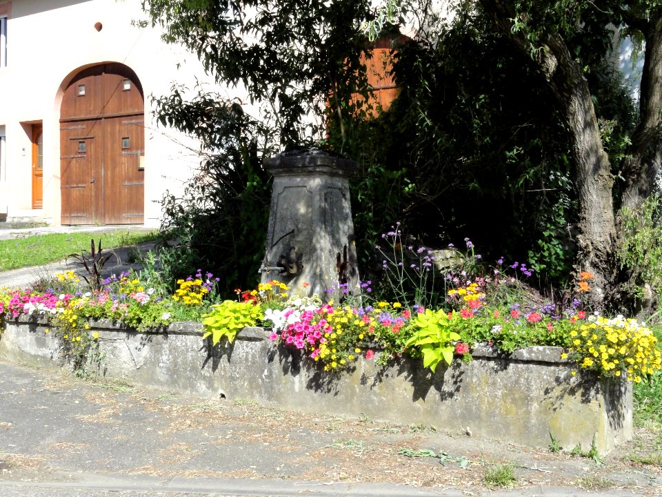 Brouville (M-et-M) fontaine D