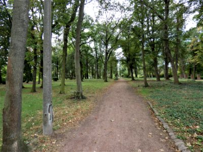 Breitscheidpark Zörbig