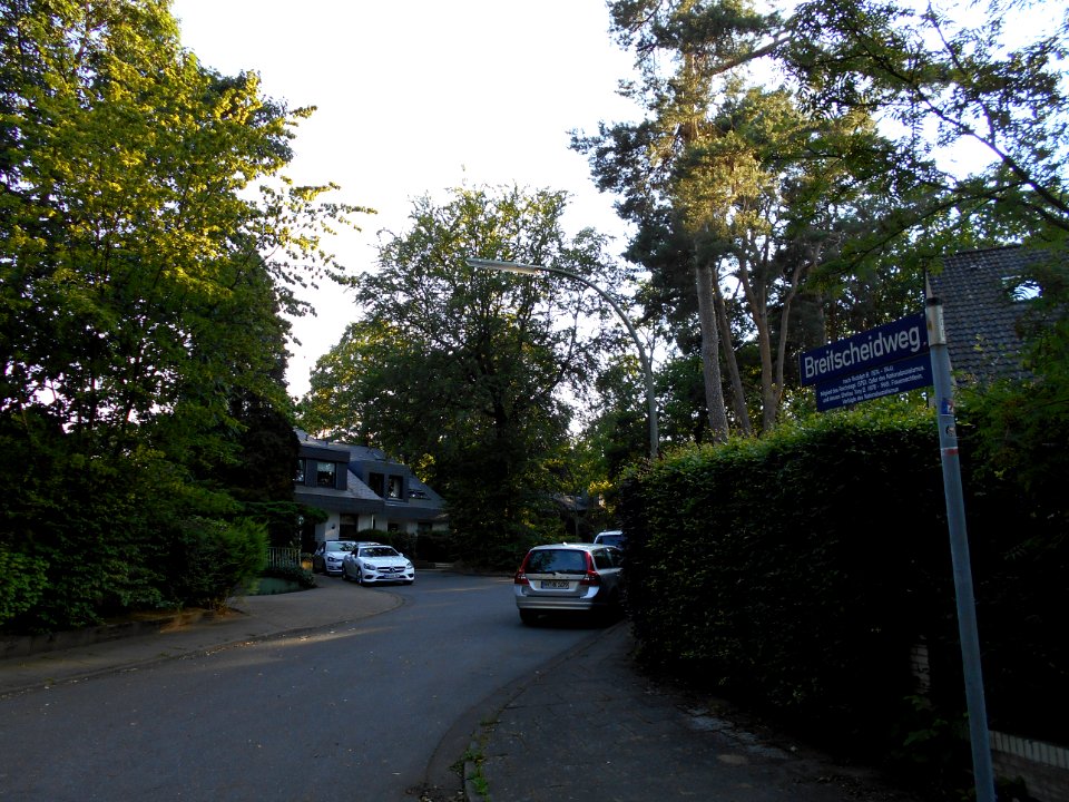 Breitscheidweg