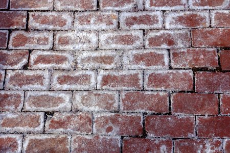 Brick sidewalk - Cambridge, MA - - Cambridge, MA - DSC02503