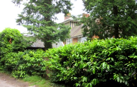 Brethren Meeting Room, Highcombe Edge, Tilford Road, Hindhead (June 2015) (1)