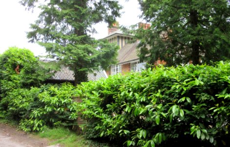 Brethren Meeting Room, Highcombe Edge, Tilford Road, Hindhead (June 2015) (1) photo