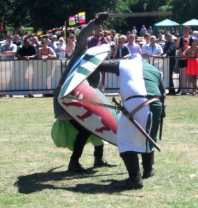 BRF2016KnightCombat
