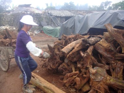 Brick making in Hainan - 05