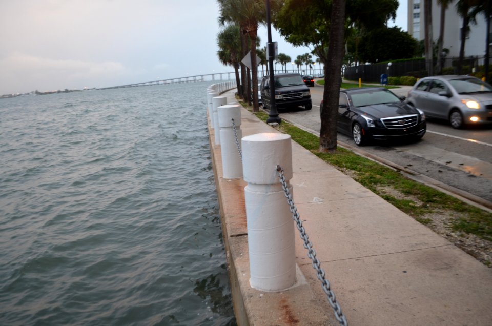 Brickell Bay Drive extra high tide 3