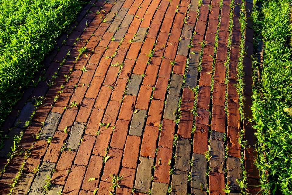 Bricks - Arlington, MA - DSC02861
