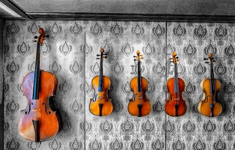 Musical fiddle classical photo