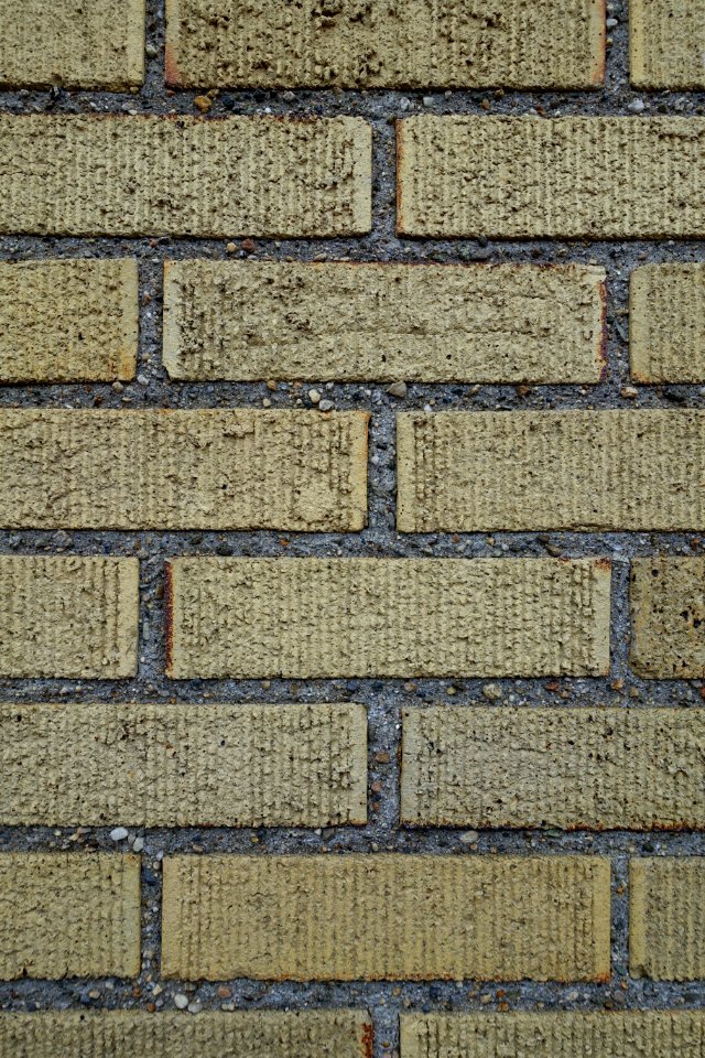 Bricks - Arlington, MA - DSC01209