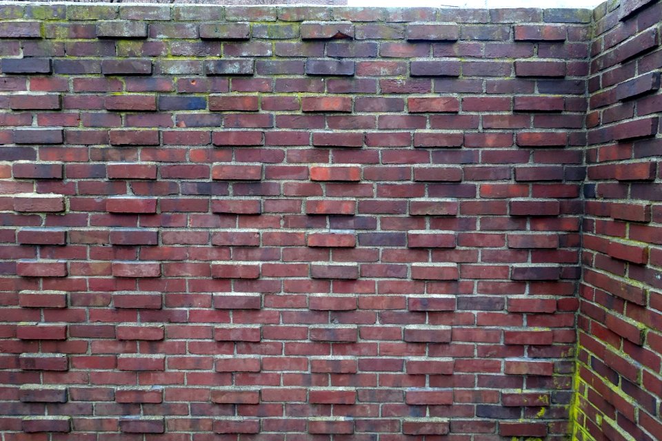 Brick wall - Cambridge, MA - DSC07859