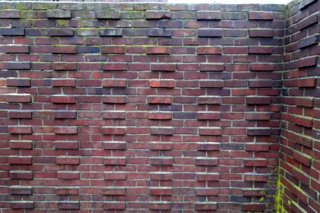 Brick wall - Cambridge, MA - DSC07859