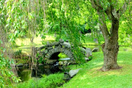 Bridge - Newton Cemetery & Arboretum - Newton Center, MA - DSC07109