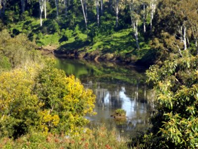 Bremer River zoom at North Ipswich, Queensland