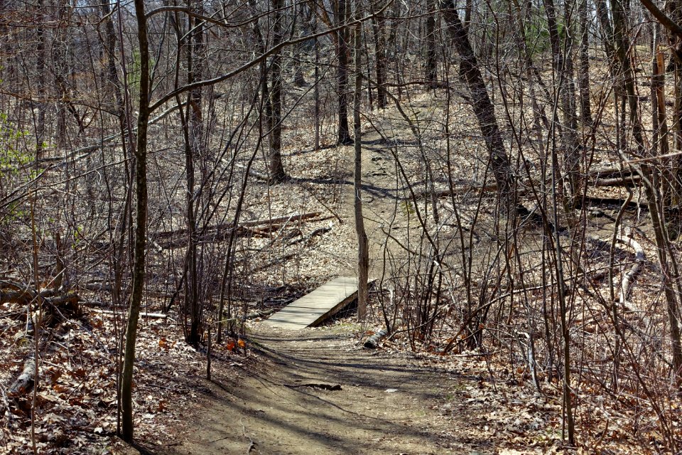Bridge - Whipple Hill - Lexington, MA - DSC00281