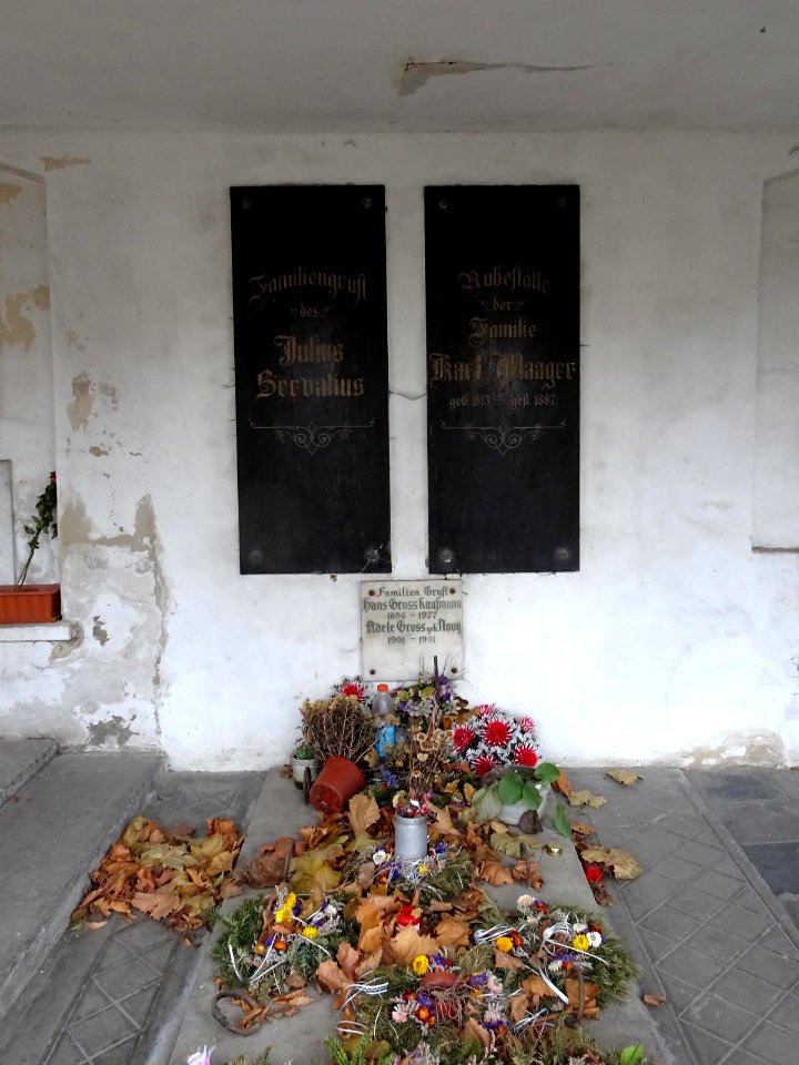 Brasov Evangelical Cemetery - Servatius-Maager