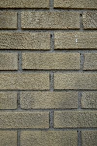 Bricks - Arlington, MA - DSC01214
