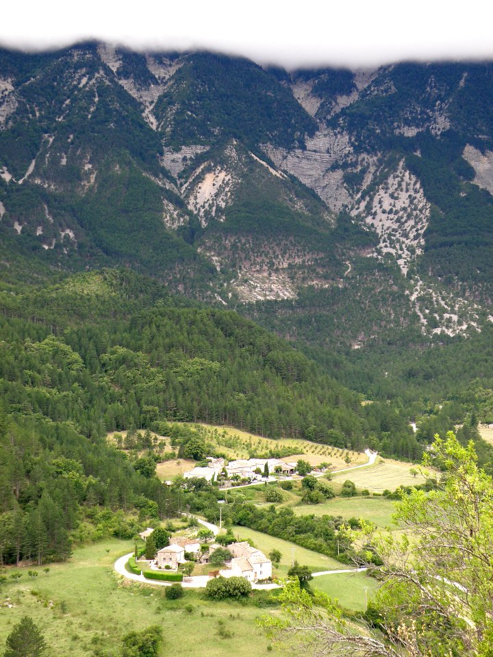 Brantes Frache Bernards 2