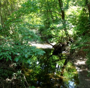 Briant Park Summit NJ June 2012 stream reflections 7