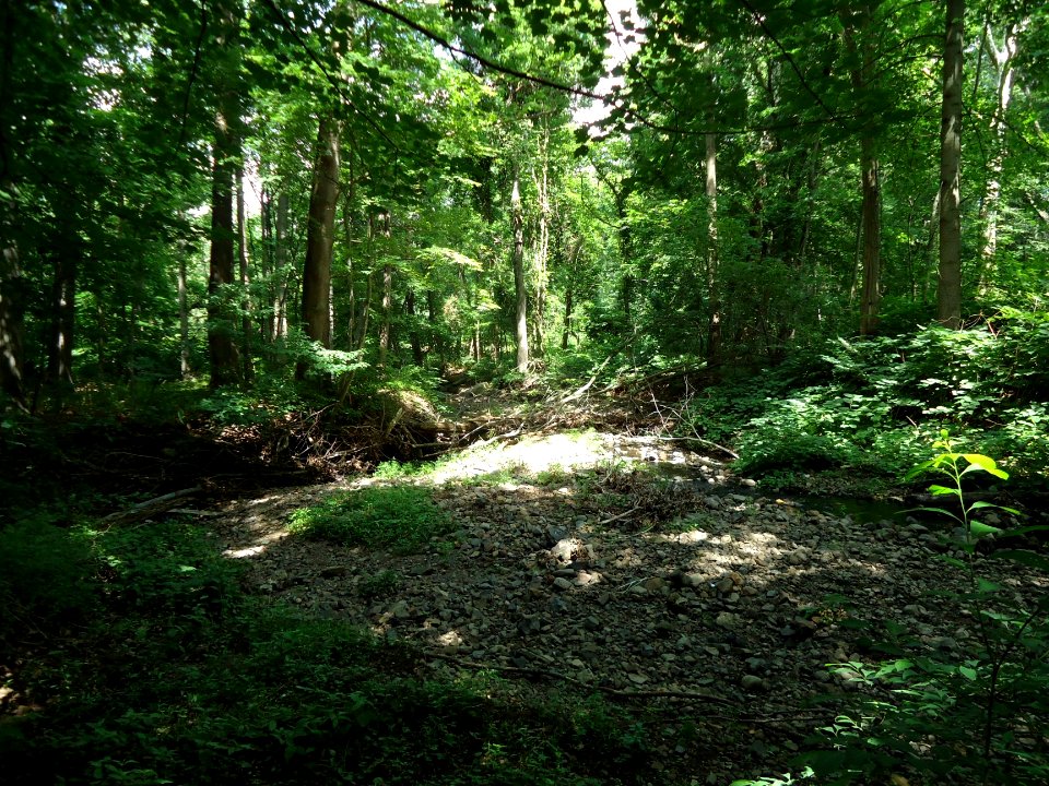Briant Park Summit NJ June 2012 1