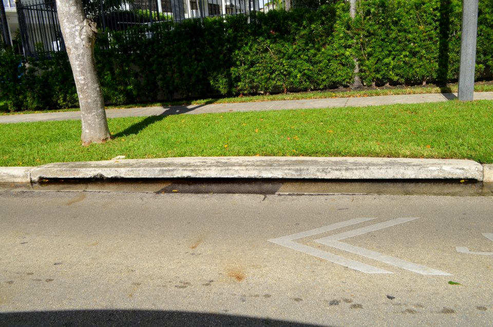 Brickell Bay Drive drain at threshold of flooding during king tide 2016