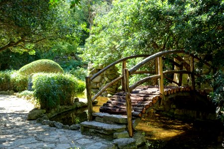 Bridge - Isamu Taniguchi Japanese Garden - Zilker Botanical Garden - Austin, Texas - DSC09073
