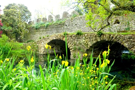 Bridge - Giardino di Ninfa, Italy - DSC03079