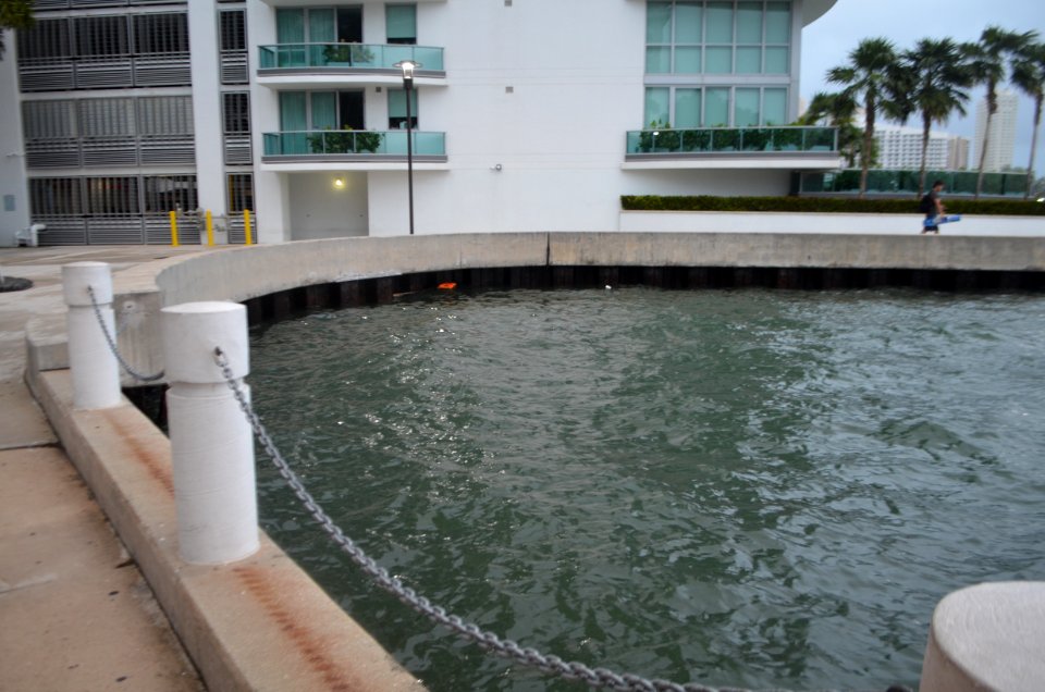 Brickell Bay Drive extra high tide 1