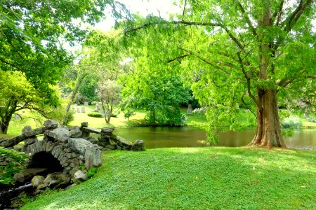 Bridge - Newton Cemetery & Arboretum - Newton Center, MA - DSC07111