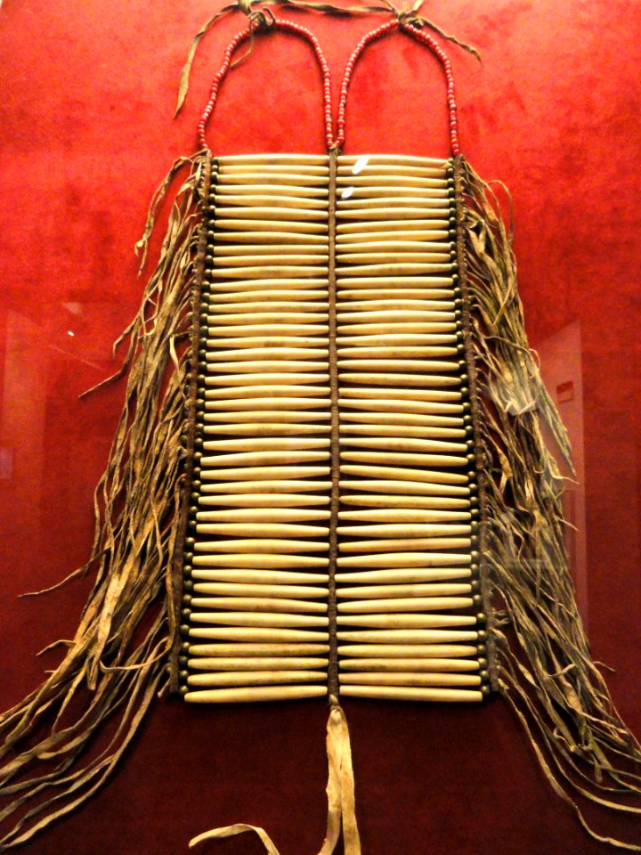 Breastplate, bone, attributed to Big Mouth, Oglala, 1860s - Native American collection - Peabody Museum, Harvard University - DSC05406