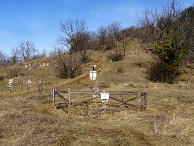 BrasoviaFountain