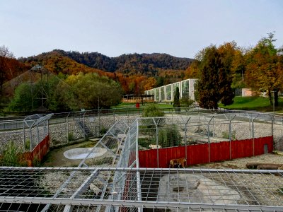 BrasovZoo1