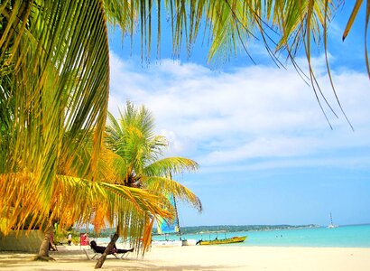 Beach typical jamaican paradise photo