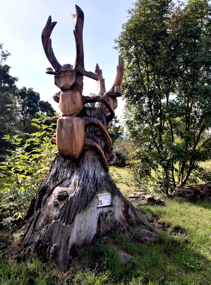 Braunsroda ChainsawSkulptur