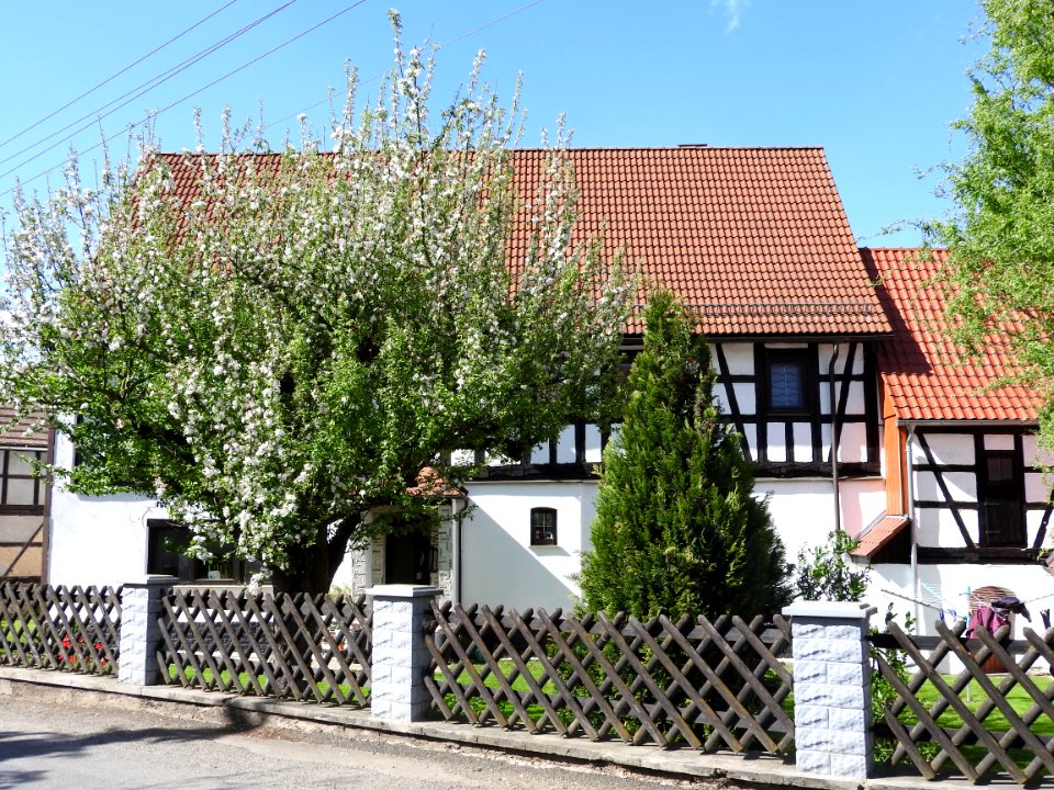 Braunsdorf, Auma-Weidatal 05