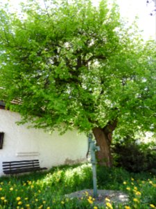 Braunsdorf, Auma-Weidatal 07