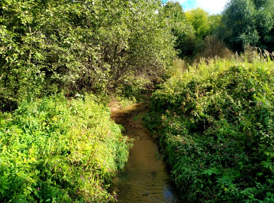 Bratovka river, Tushino