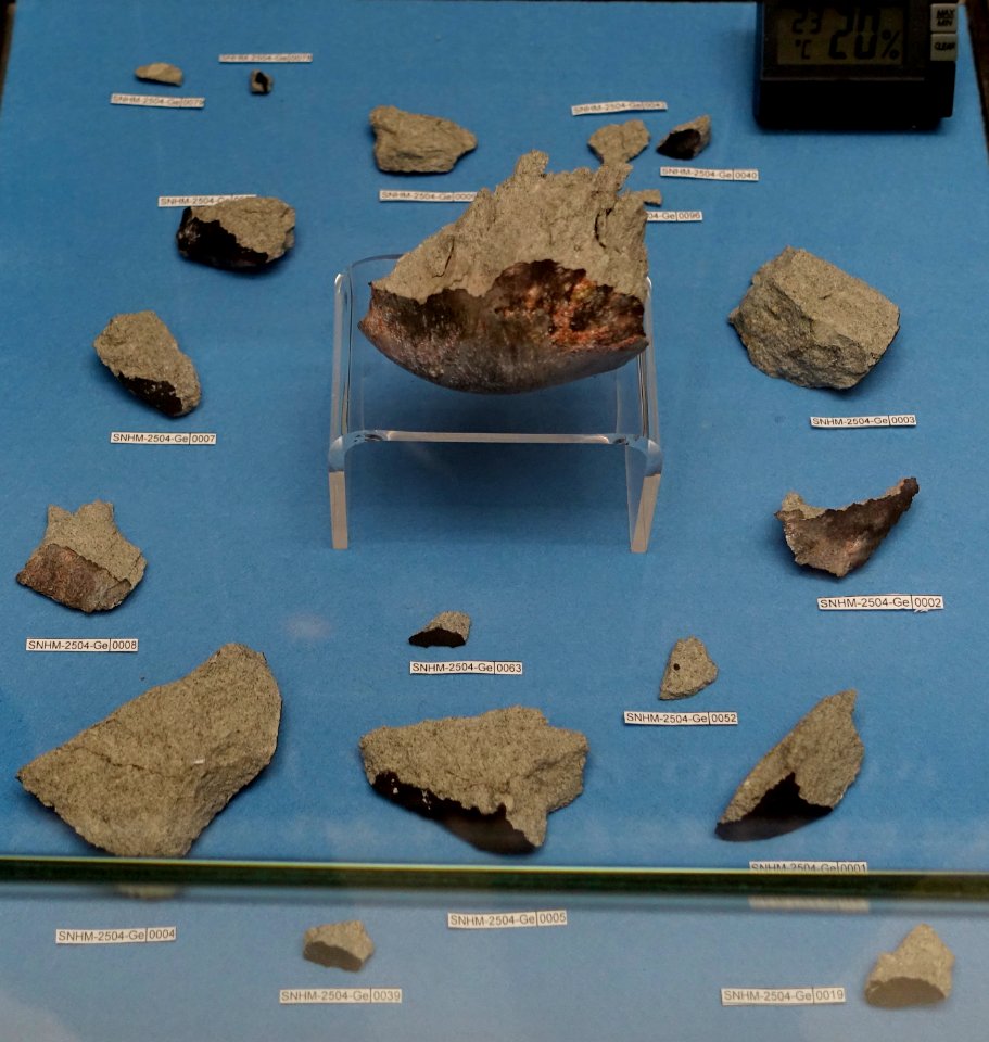 Braunschweig meteorite of 23 April 2013 - Naturhistorisches Museum, Braunschweig, Germany - DSC05069
