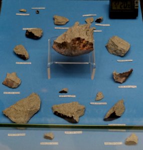 Braunschweig meteorite of 23 April 2013 - Naturhistorisches Museum, Braunschweig, Germany - DSC05069
