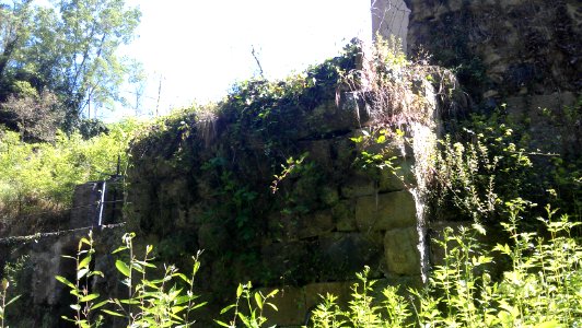 Bridge rest fluvia san roc olot 01