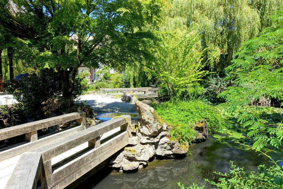 Bridges - Dr. Sun Yat-Sen Park - Vancouver, Canada - DSC09932
