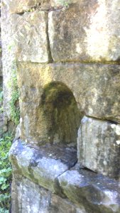 Bridge rest fluvia san roc olot 03