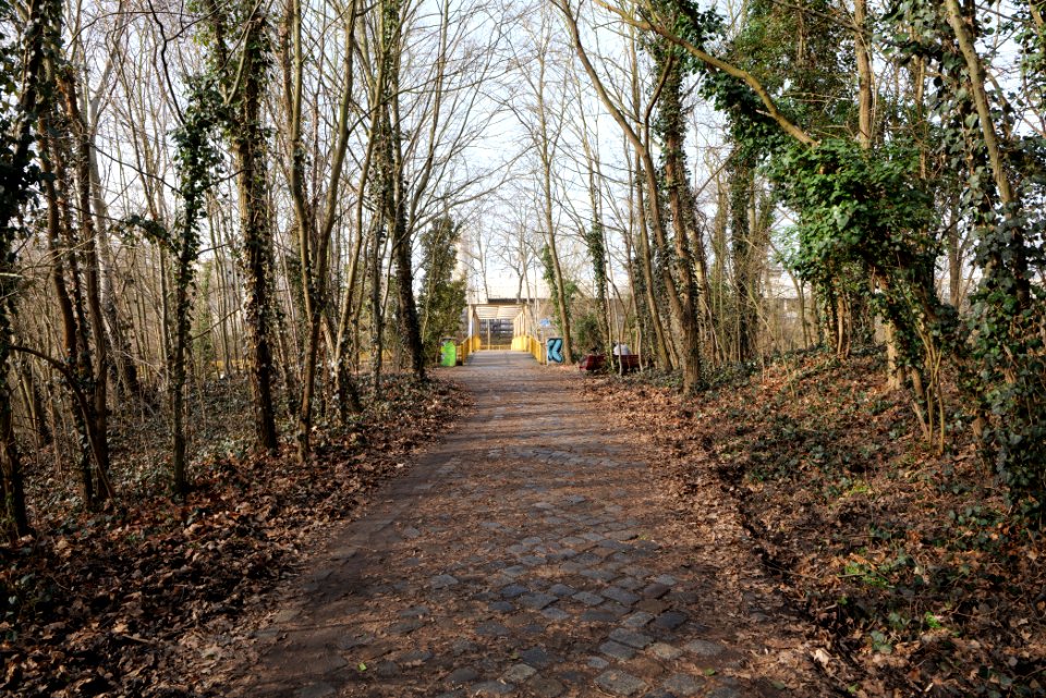 Bridge Zehlendorfer Stichkanal 2021-02-24 13