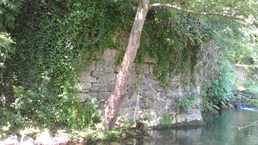 Bridge rest fluvia san roc olot 04