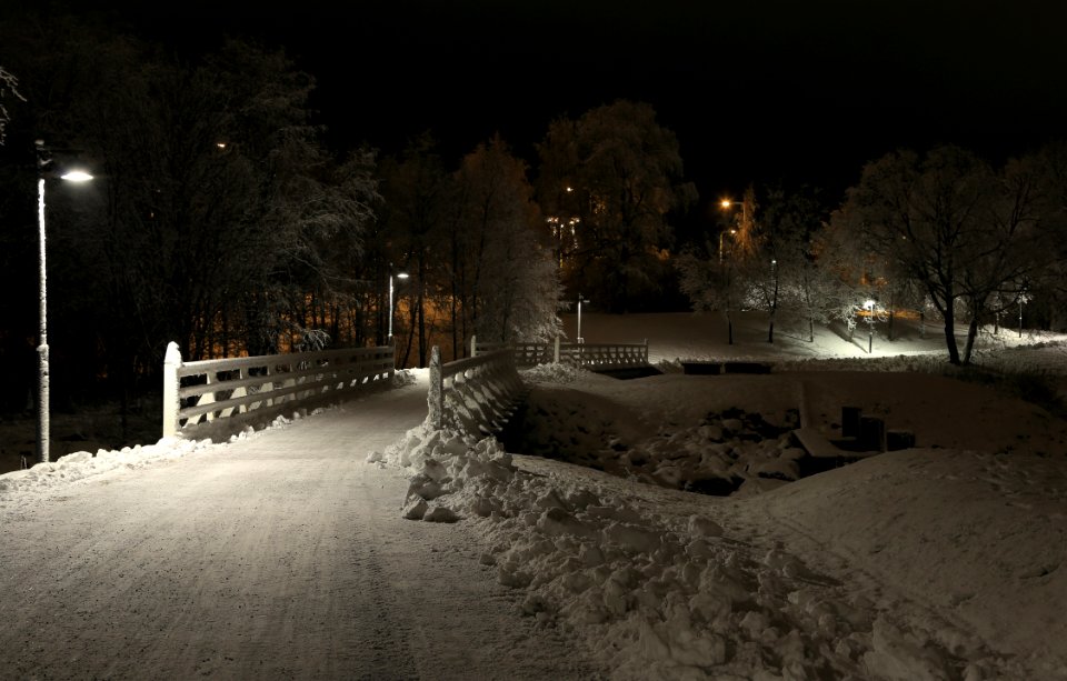 Bridges Plaatansaari Oulu 20151211