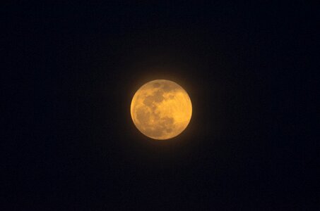 Night moonlight night with a full moon photo