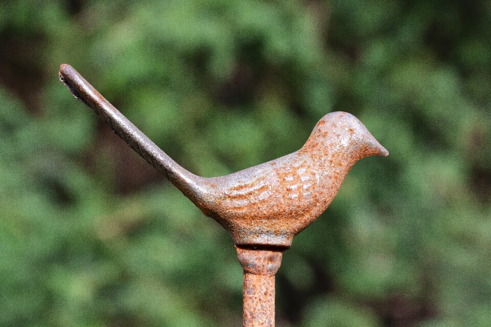 Detail wrought iron forged