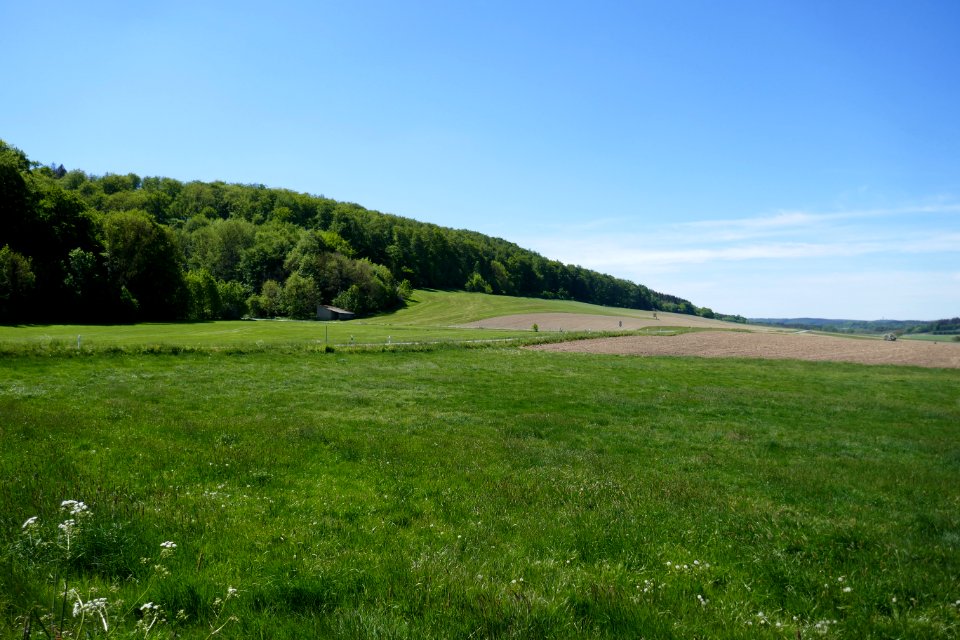 Brilon - Landschaftsschutzgebiet Freiflächen im Lühlingsbachtal - 1